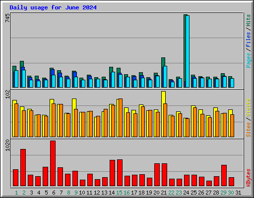 Daily usage for June 2024