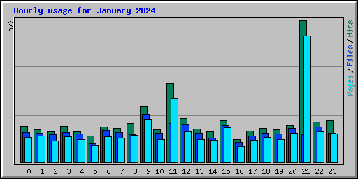 Hourly usage for January 2024