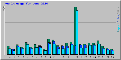 Hourly usage for June 2024