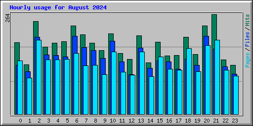Hourly usage for August 2024